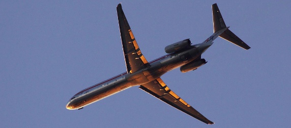 American Airlines flight