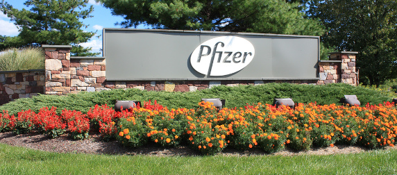 Pfizer sign resting on a stone wall with landscaping below