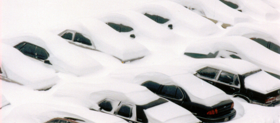 rows of cars buried in deep snow