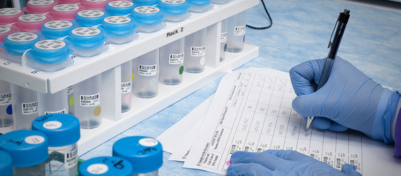 gloved researcher noting results next to plastic tubes