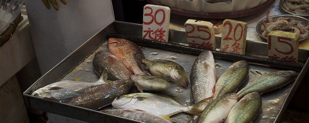 fish for sale in a Hong Kong market