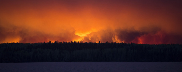 wildfire on the horizon behind forest silhouette