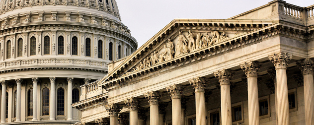 United States Capitol building, detail