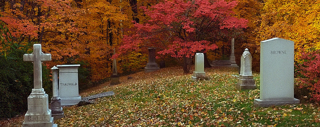 headstones in front of a background of autumn foliage