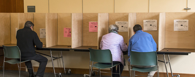 voters seated at voting booths, backs to the camera, in winter coats