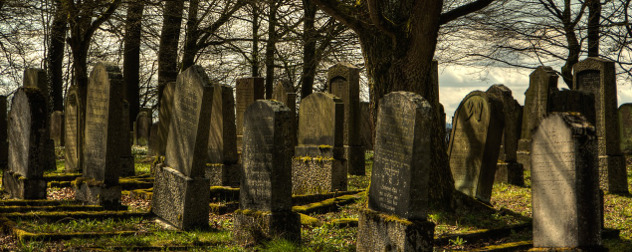 graveyard headstones among leafless trees