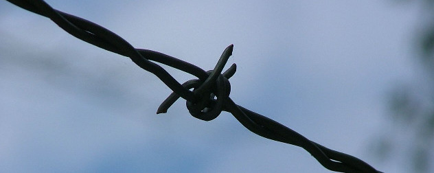 detail of barbed wired fence seen against a blue sky