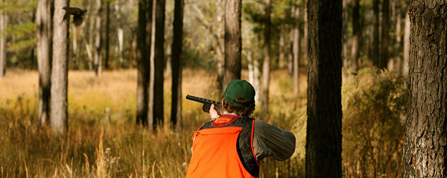 hunter in safety gear aims a shotgun at a bird in flight