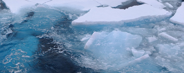 Arctic sea ice, viewed from above