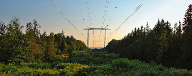 power lines in a wooded landscape at sunset