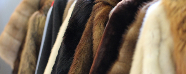 detail of vintage fur coats