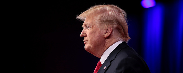 Donald Trump in profile