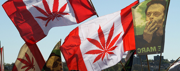 banners blending the Canadian flag with a marijuana leaf