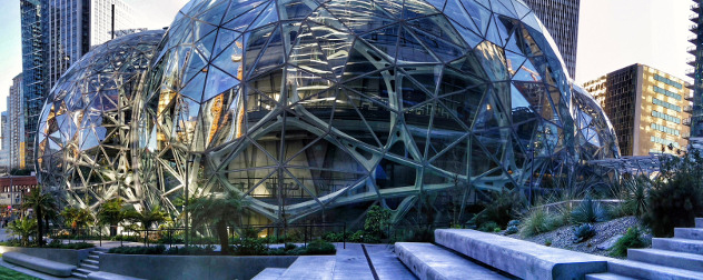 Amazon Spheres, panoramic detail