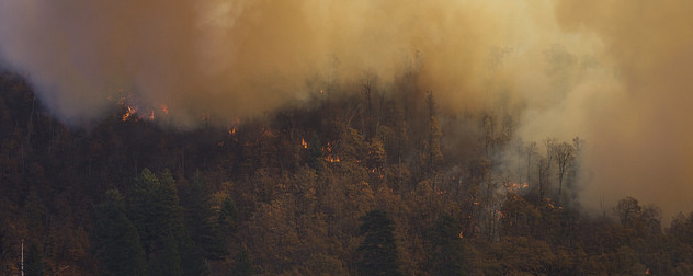 smoke and fire seen among a forested area from the air