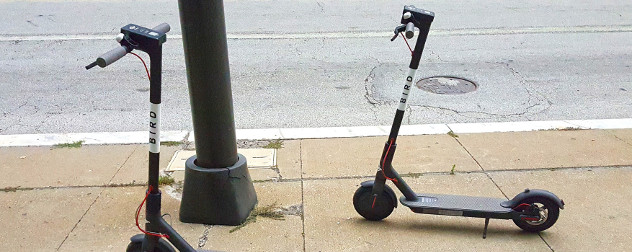 Bird electric scooters parked on a sidewalk.