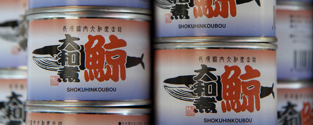 canned whale meat, with Japanese label.