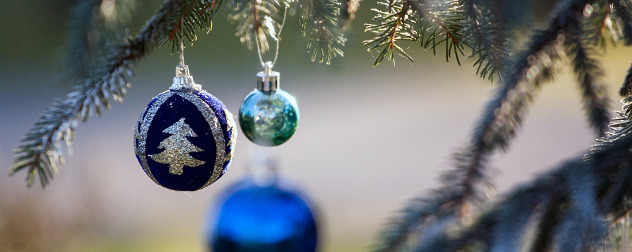 blue, bulb-style ornaments hanging from an evergreen tree's branches.