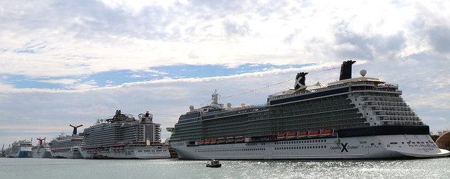 cruise ships in a line on the water at PortMiami