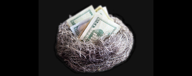 money in a nest, representing a 'nest egg' such as an IRA.