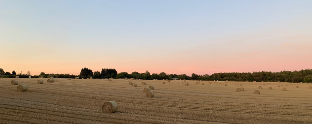 hay bales in an agricultural field.