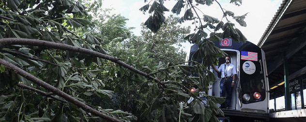 Fallen tree on the B-Q line of New York City subway due to the high winds of Tropical Storm Isaias.