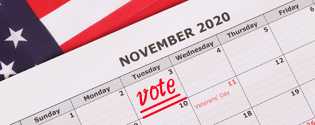 calendar with a 'vote' reminder on Nov. 3 against an American flag background.