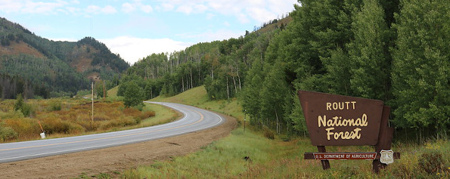 Routt National Forest, one of many national forests nationwide, along Routt County Road 129 in northern Colorado.