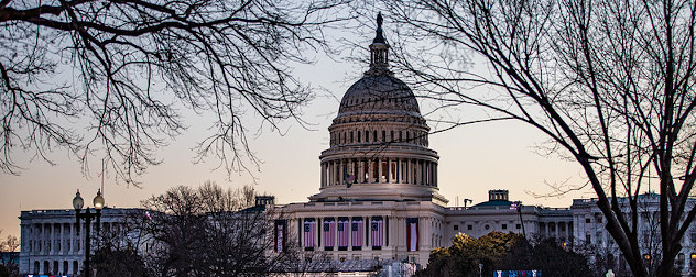 The Capitol decorated, and secured, ahed of the 59th Presidential Inauguration, Jan. 20, 2021.