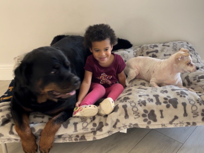 One of Jeffrey Howard's daughters on a cushion with two dogs.